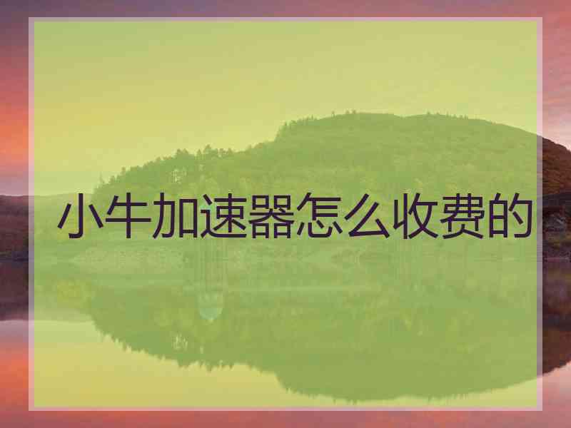 小牛加速器怎么收费的