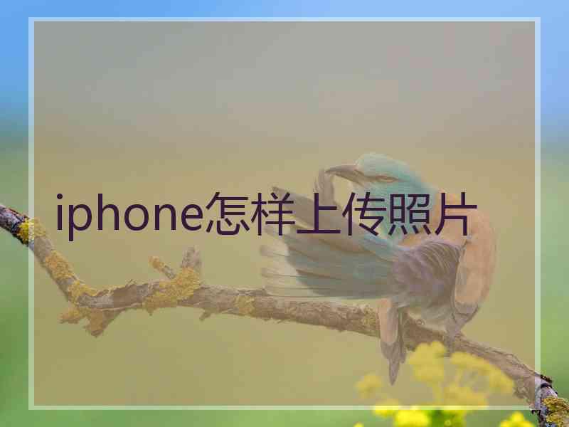 iphone怎样上传照片