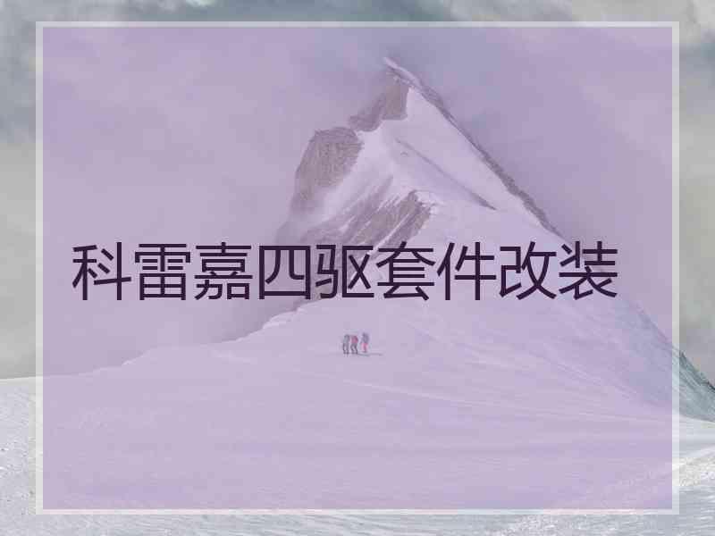 科雷嘉四驱套件改装