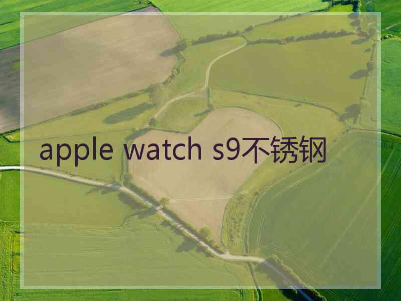 apple watch s9不锈钢