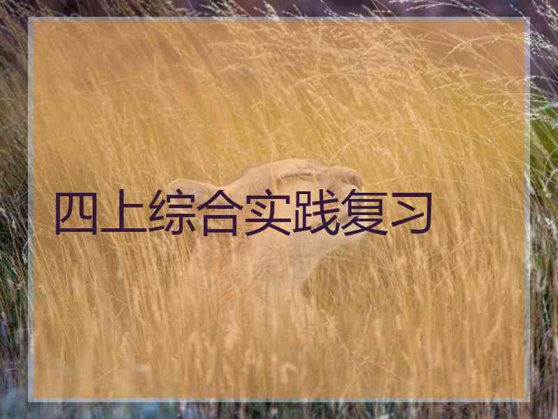 四上综合实践复习