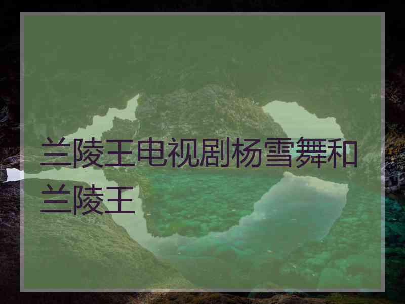 兰陵王电视剧杨雪舞和兰陵王