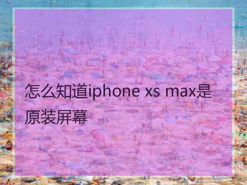 怎么知道iphone xs max是原装屏幕