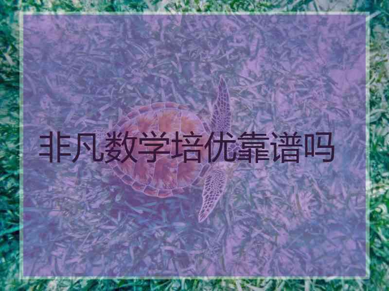 非凡数学培优靠谱吗