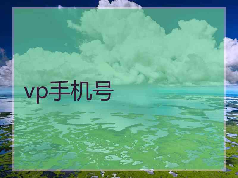 vp手机号