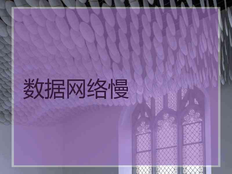 数据网络慢