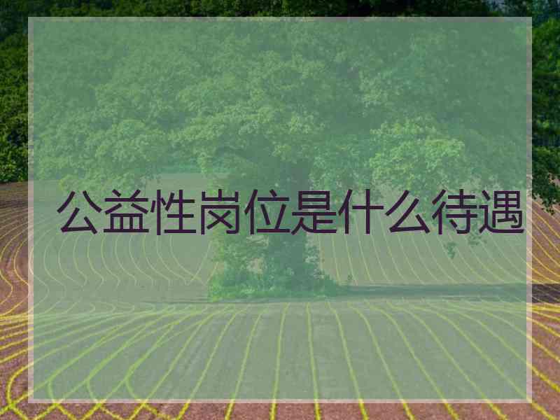 公益性岗位是什么待遇