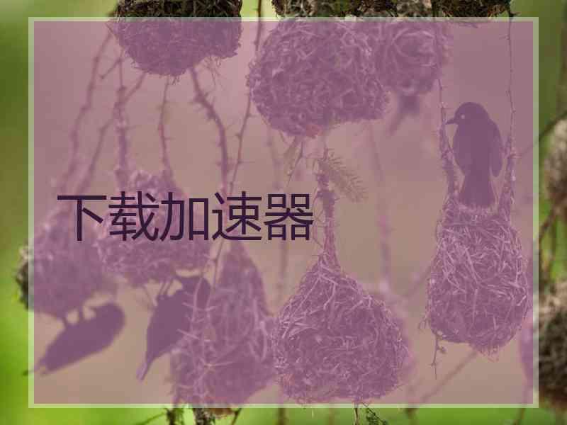下载加速器