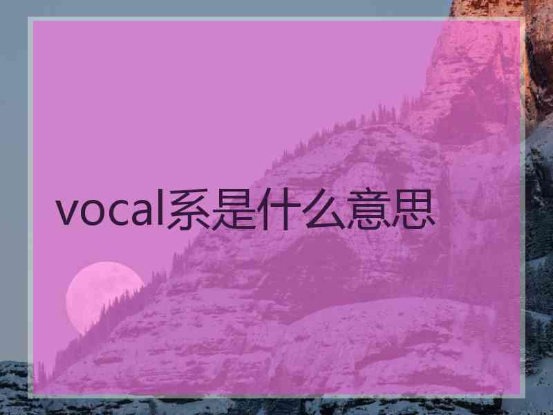 vocal系是什么意思