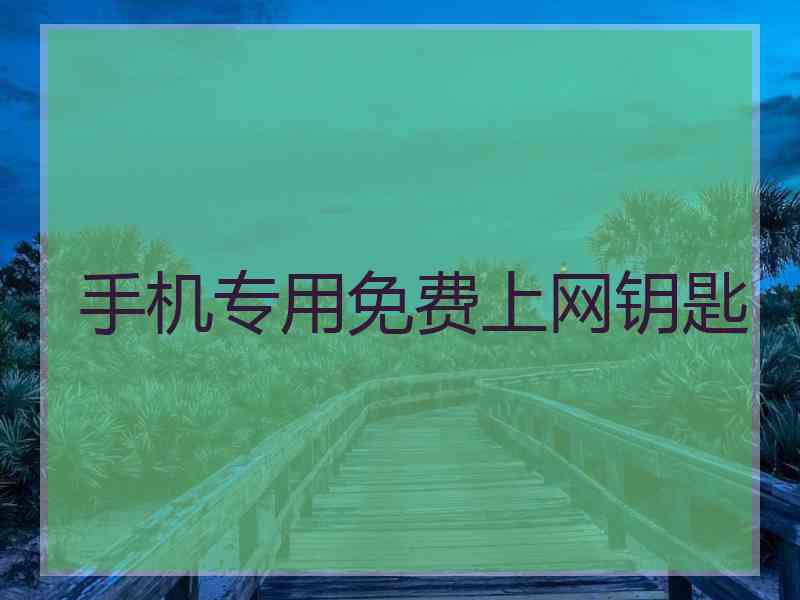 手机专用免费上网钥匙