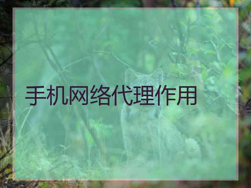 手机网络代理作用