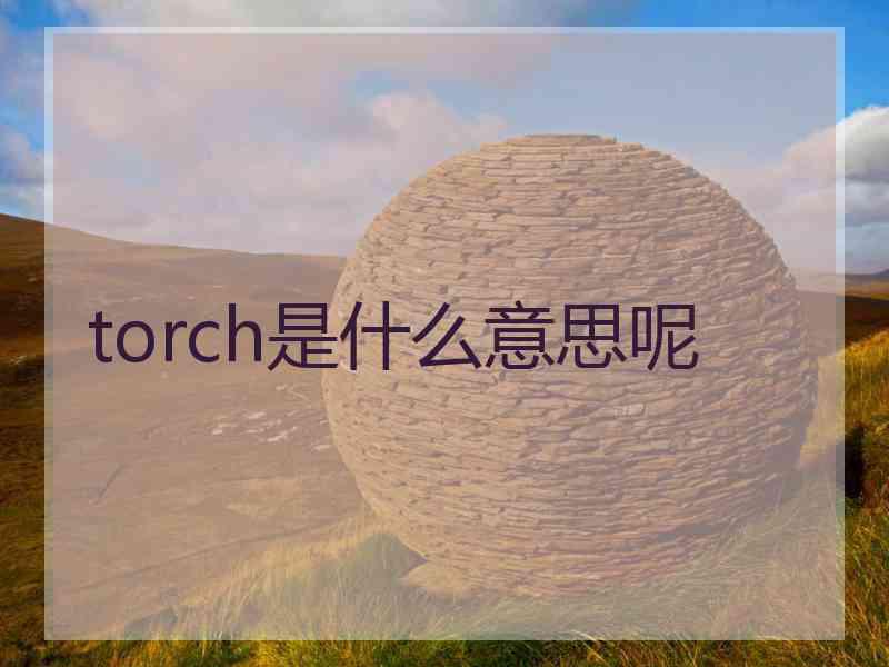 torch是什么意思呢