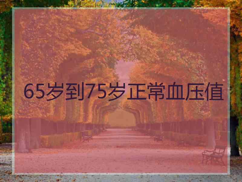 65岁到75岁正常血压值