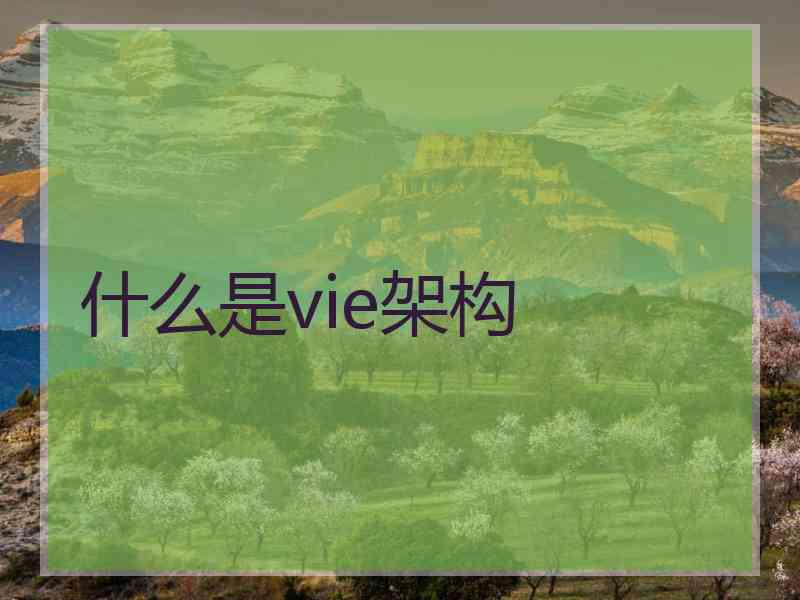 什么是vie架构