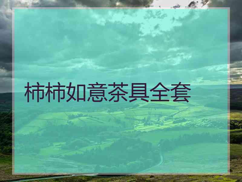 柿柿如意茶具全套