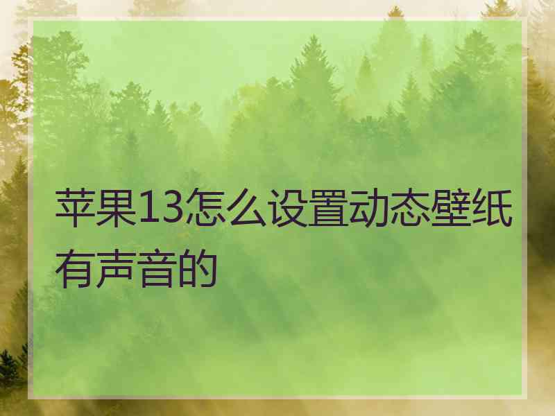 苹果13怎么设置动态壁纸有声音的