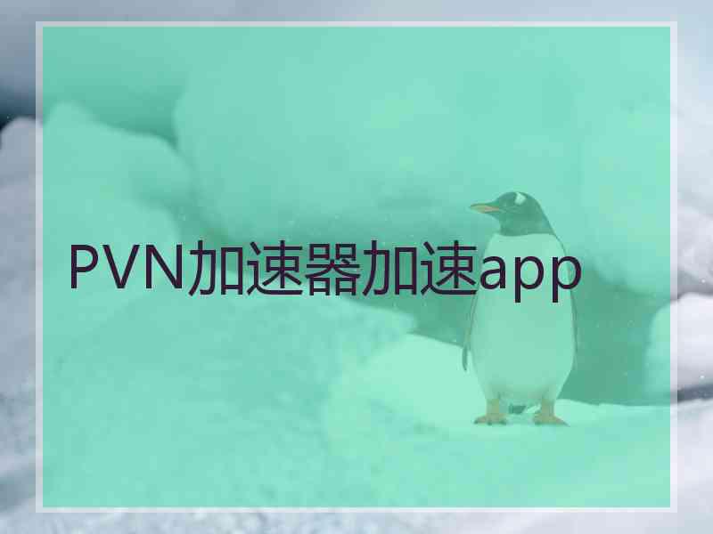 PVN加速器加速app