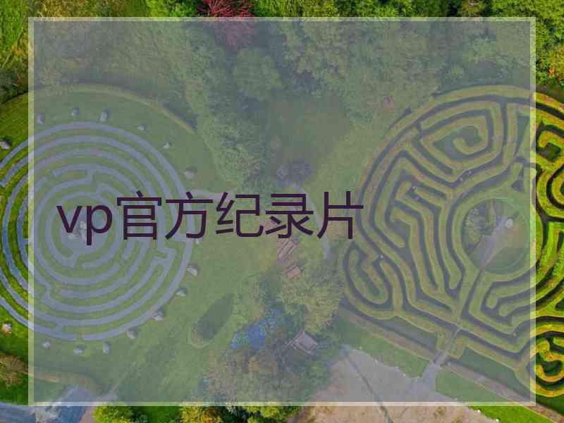 vp官方纪录片