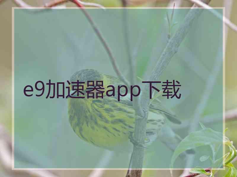 e9加速器app下载