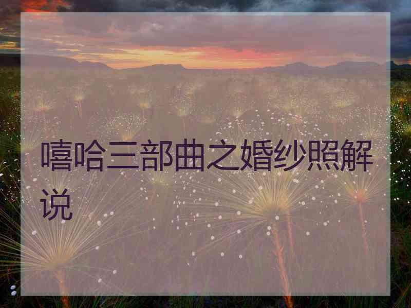 嘻哈三部曲之婚纱照解说