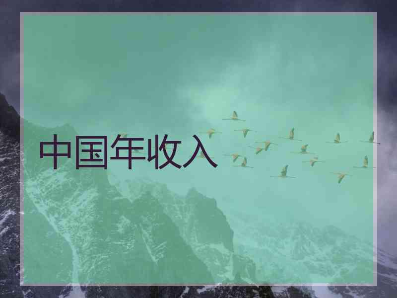 中国年收入