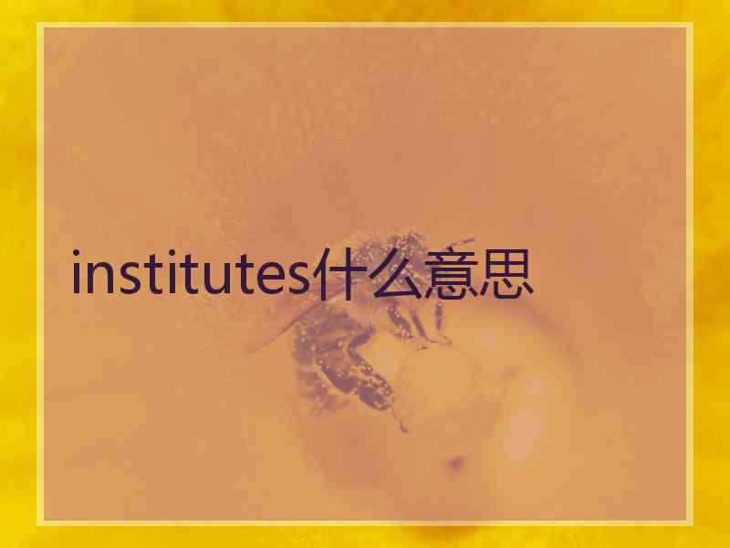 institutes什么意思
