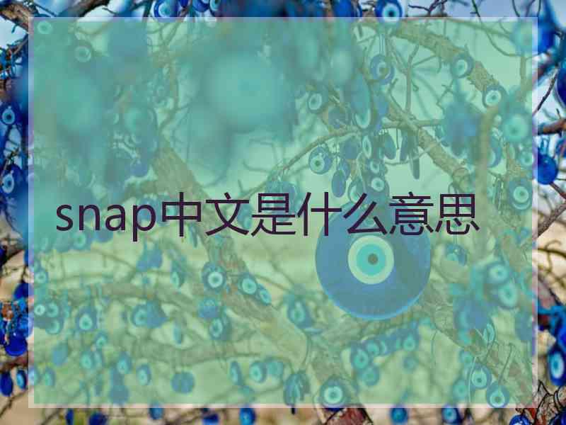 snap中文是什么意思