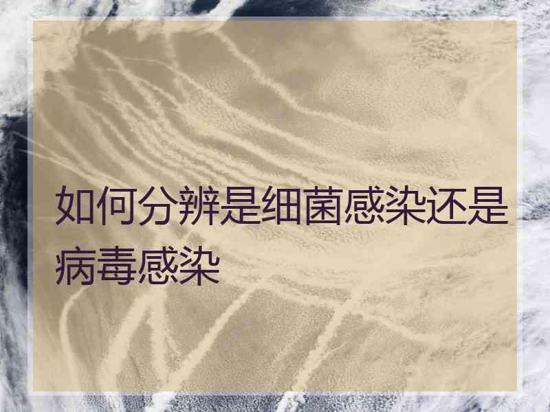如何分辨是细菌感染还是病毒感染