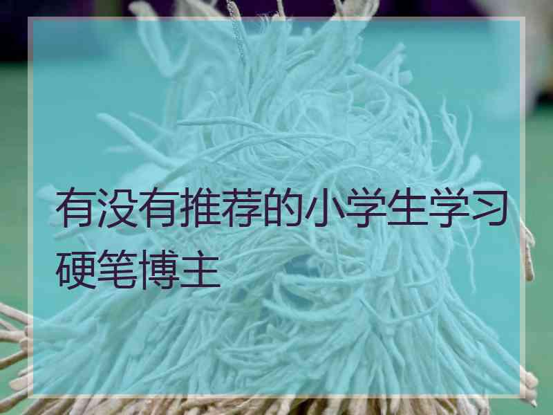 有没有推荐的小学生学习硬笔博主