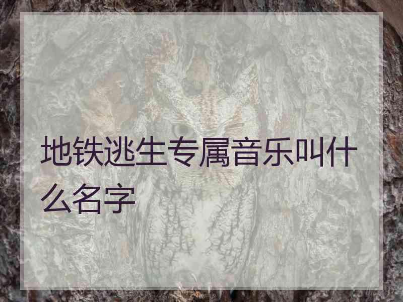 地铁逃生专属音乐叫什么名字