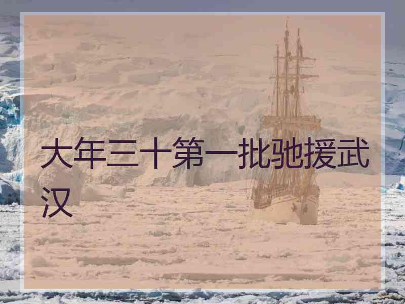 大年三十第一批驰援武汉