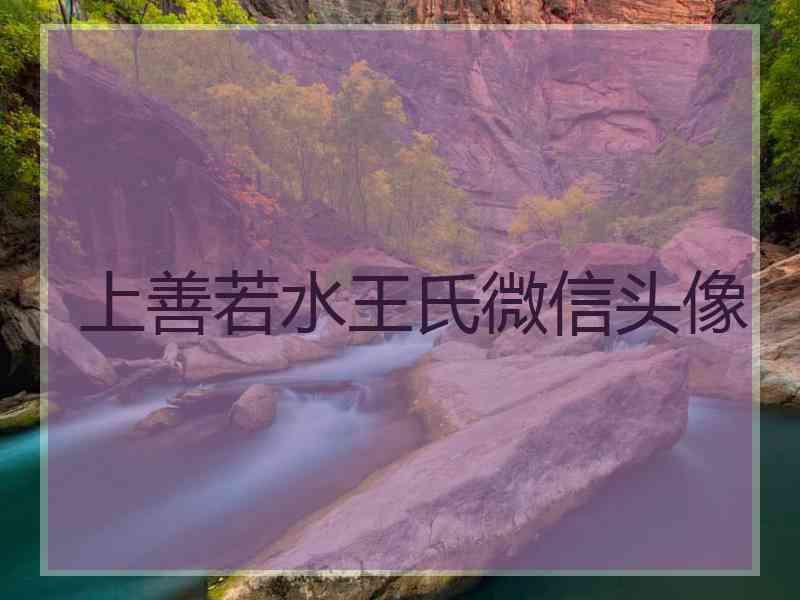 上善若水王氏微信头像