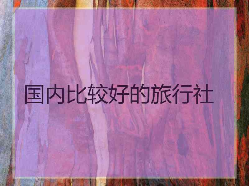 国内比较好的旅行社