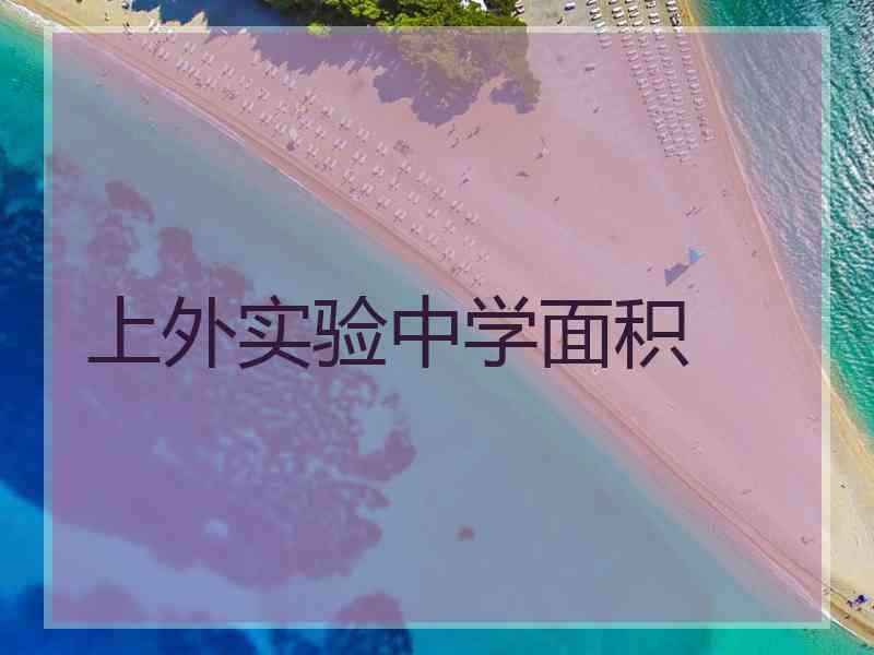 上外实验中学面积