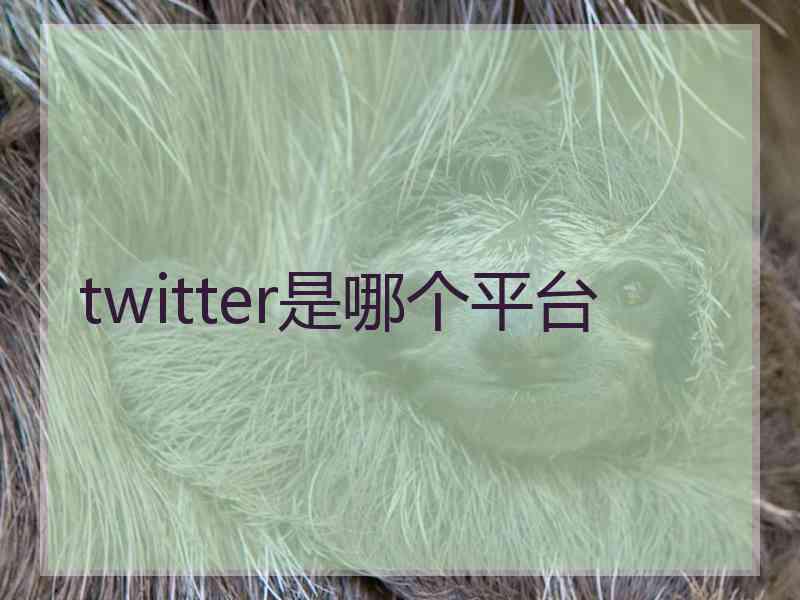 twitter是哪个平台