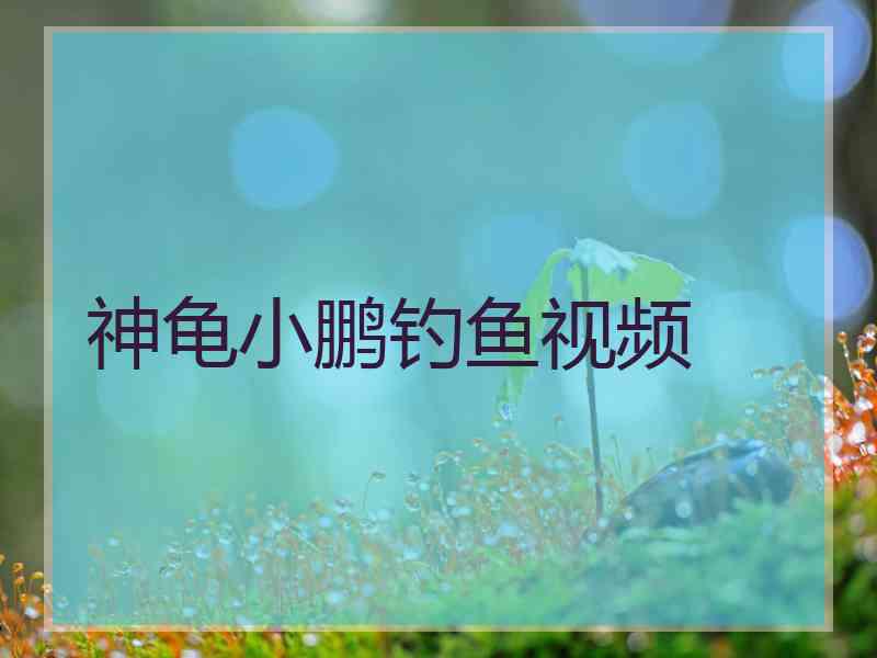 神龟小鹏钓鱼视频