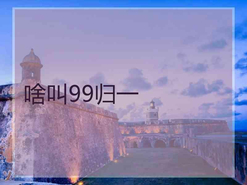啥叫99归一