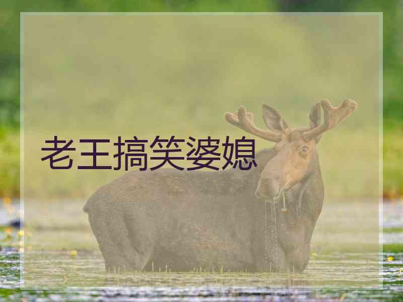 老王搞笑婆媳