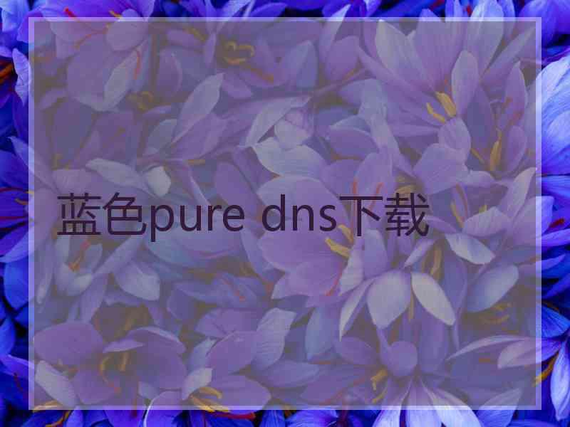 蓝色pure dns下载