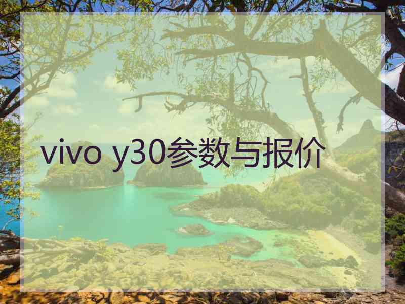 vivo y30参数与报价