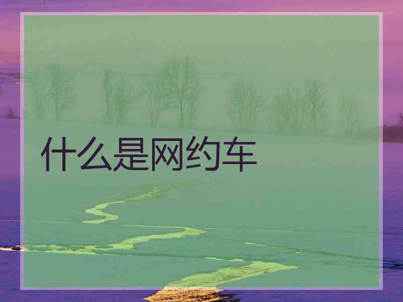 什么是网约车