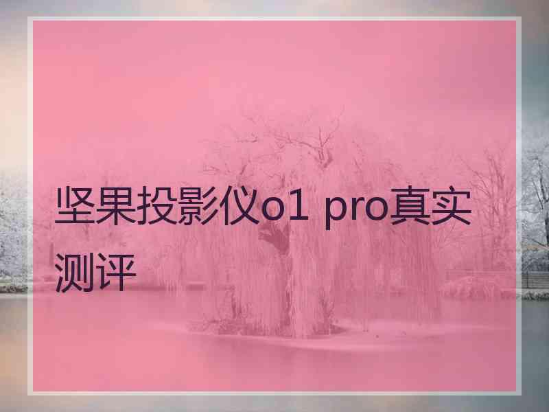 坚果投影仪o1 pro真实测评