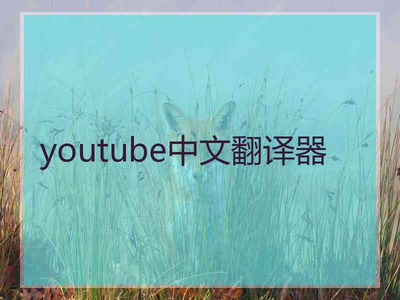 youtube中文翻译器