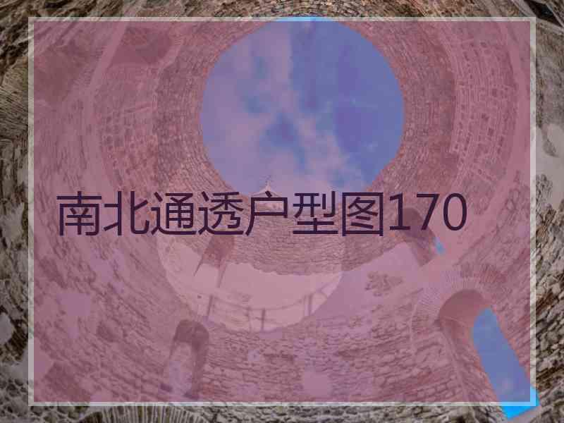 南北通透户型图170