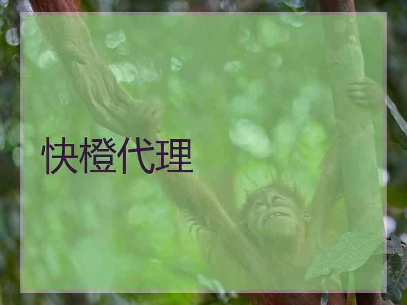 快橙代理