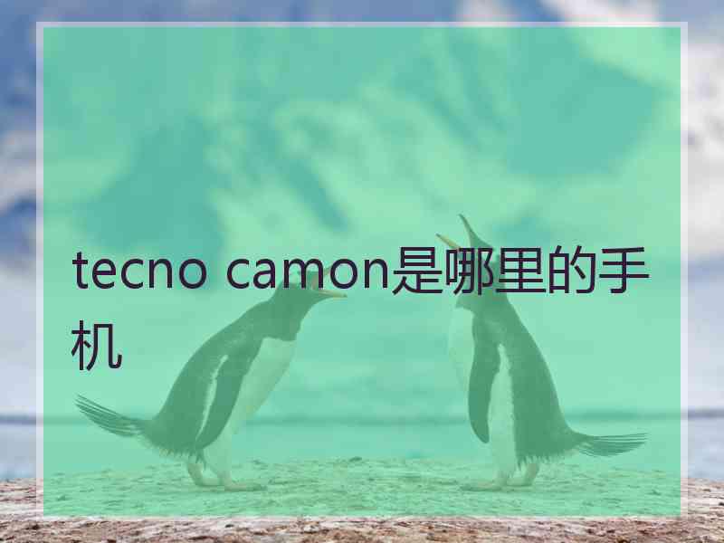 tecno camon是哪里的手机