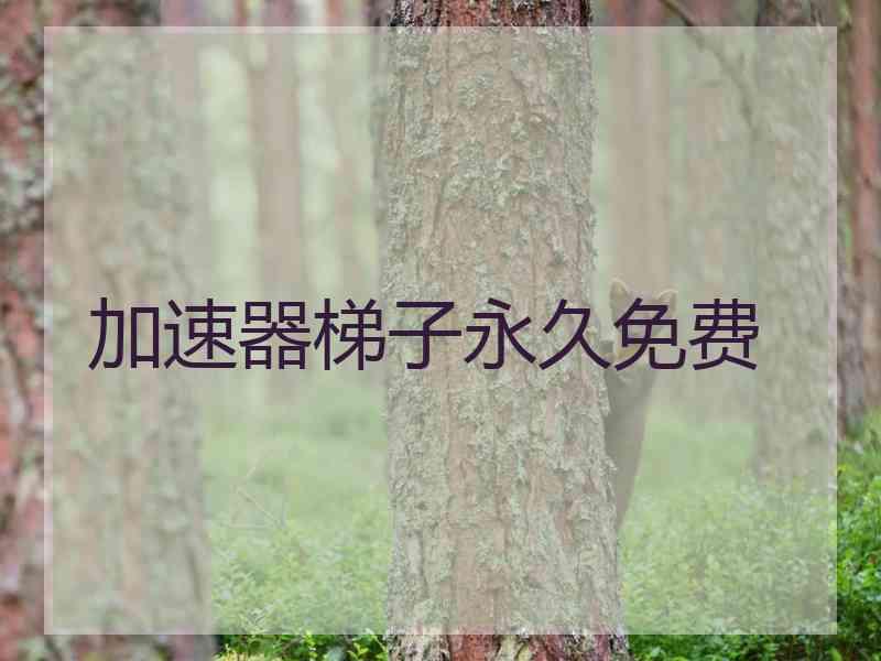 加速器梯子永久免费