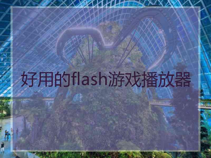 好用的flash游戏播放器