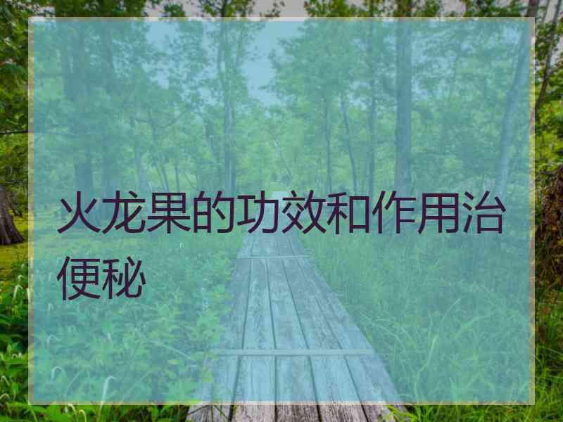 火龙果的功效和作用治便秘