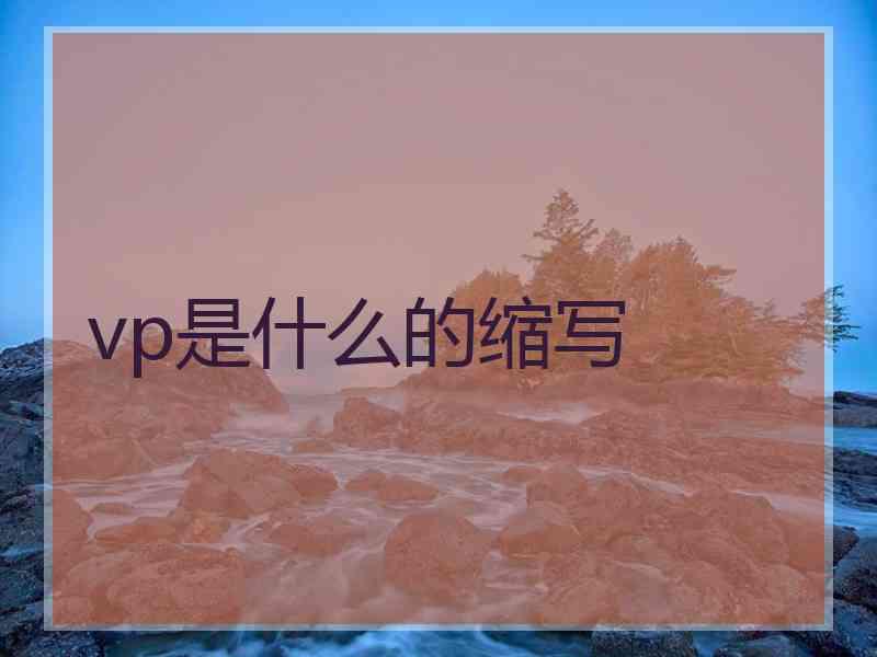 vp是什么的缩写